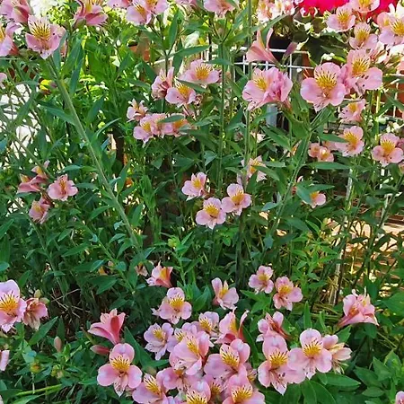 New!!! 2024 Marea With Xxl Sunny Terrace Appartement Poreč