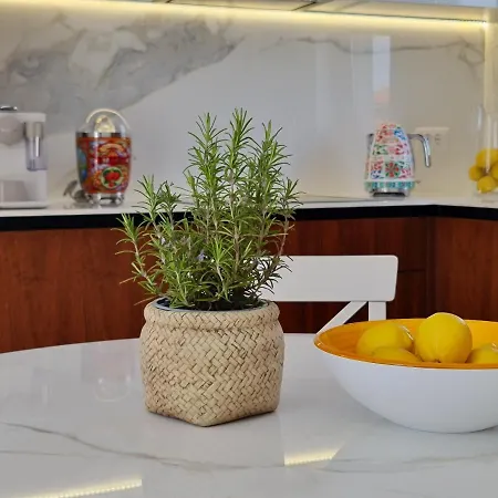 New!!! 2024 Marea With Xxl Sunny Terrace Апартаменты *