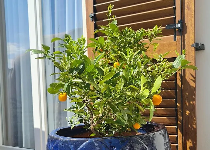 New!!! 2024 Marea With Xxl Sunny Terrace Appartement Poreč